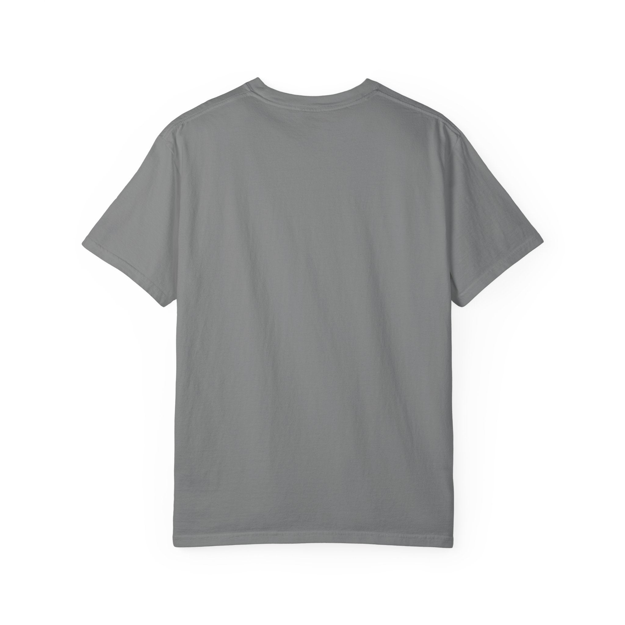 Crewneck Relaxed Fit Tee Shirt | LESS SHAME MORE SEQUINS | CONVERSATION COLLECTION